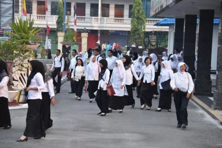 Ribuan Honorer di Aceh Utara Diberhentikan, Nasibnya Memprihatinkan
