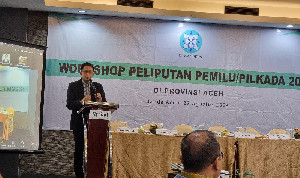 Workshop Dewan Pers Bahas Tantangan dan Peran Media dalam Peliputan Pilkada 2024 di Aceh