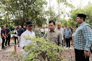 Pj Walikota Banda Aceh: Bonsai Punya Potensi Besar Dorong Perekonomian Masyarakat