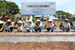 Pemko Banda Aceh dan BI Luncurkan Urban Farming untuk Kendalikan Inflasi