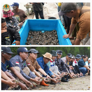 BKSDA Aceh Lakukan Pelepasan 1.107 Tuntong Laut di Aceh Tamiang