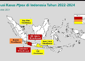 Kemenkes Umumkan 88 Kasus Monkeypox di Indonesia, Mayoritas di Jakarta