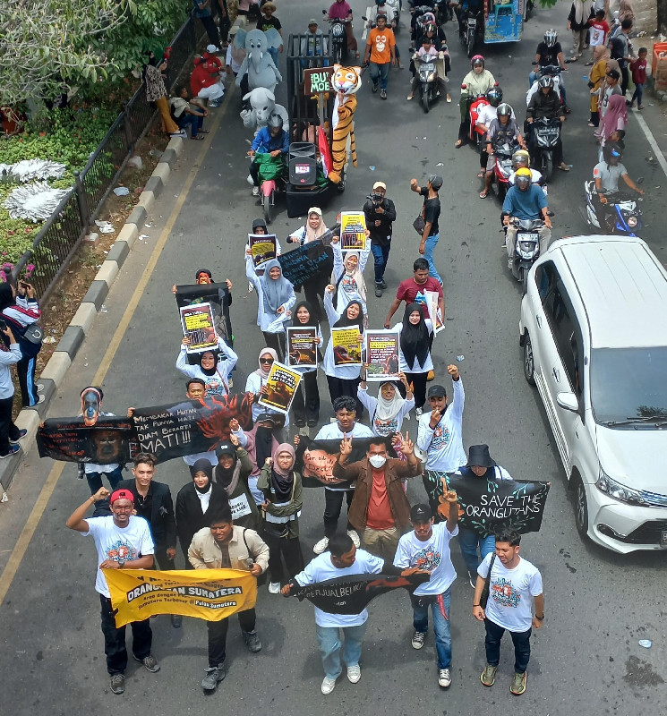 Aksi Anak Muda Aceh Dalam Pawai Parade Orang Utan di Pawai Budaya HUT RI