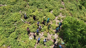 KemenKopUKM akan Bangun Lima RPB di Aceh, Ini Keuntungan Buat Petani Nilam