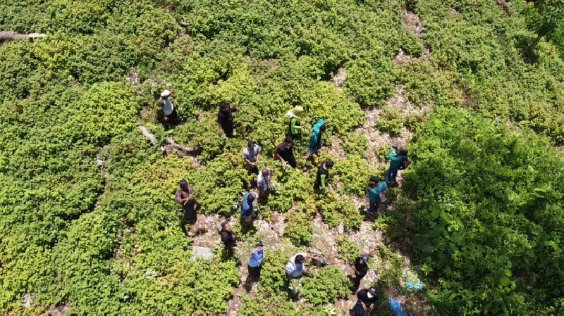 KemenKopUKM akan Bangun Lima RPB di Aceh, Ini Keuntungan Buat Petani Nilam