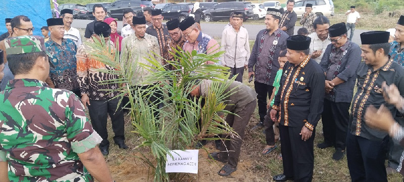 Penanaman 1.100 Pohon Sawit di Lahan Wakaf di Aceh Singkil