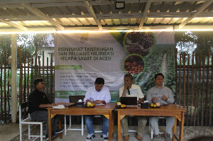 Ratusan Ribu Petani Sawit di Aceh Terancam Karena Belum Tersertifikasi ISPO