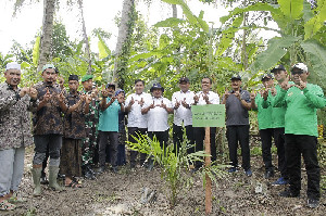 Program Penanaman 2.000 Pohon di Tanah Wakaf Produktif di Bireuen Kembali Dilanjutkan