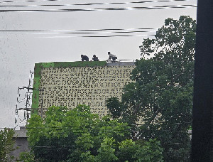 Rekanan Pekerja Pembangunan Gedung Perpustakaan Bireuen Abaikan K3