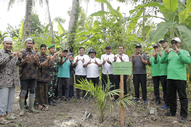 Program Penanaman 2.000 Pohon di Tanah Wakaf Produktif di Bireuen Kembali Dilanjutkan