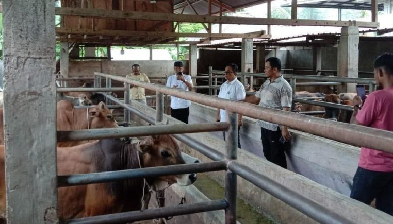 Tim Disnak Aceh Lakukan Penanganan Penyakit Brucellosis