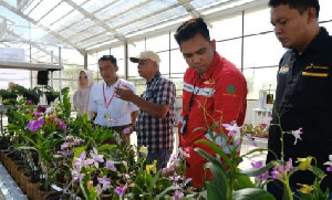 Pertamina Luncurkan Edu Ekowisata Alam Reuleut untuk Dukung Ekonomi Lokal