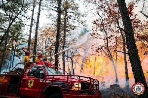 Diduga Memulai Kebakaran Hutan di New Jersey, Seorang Remaja Ditangkap