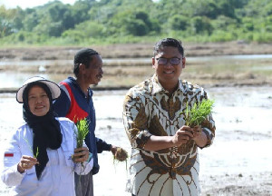 Tingkatkan Ketahanan Pangan, Wamentan Sudaryono Ajak Petani Sawit Tanam Padi Gogo