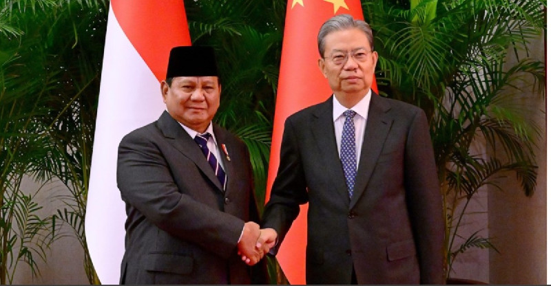 Bertemu Zhao Leji, Presiden Prabowo Tegaskan Komitmen Pererat Hubungan Indonesia-Tiongkok