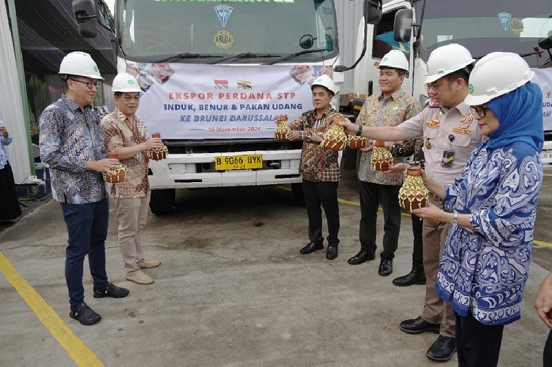 Pakan, benih, dan Indukan Udang Berstandar Internasional Diekspor ke Brunei