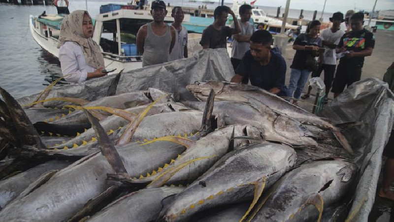 KKP Dorong Budidaya Tuna Berteknologi Tinggi untuk Tingkatkan Ekonomi Nelayan