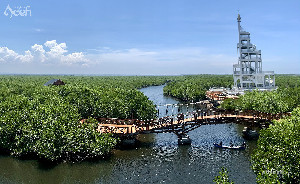 Hutan Mangrove Langsa, Surga Kecil di Tanah Aceh