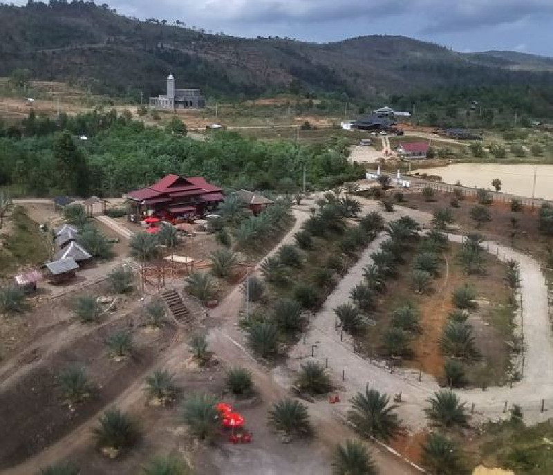 Pesona Kebun Kurma Barbate, Oasis Tersembunyi di Aceh Besar