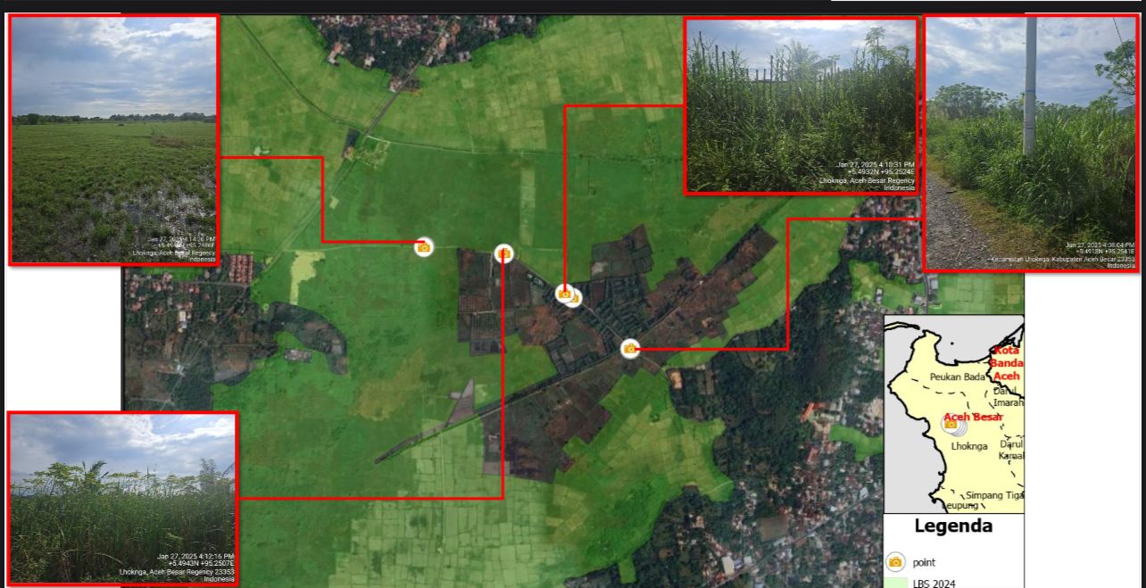 Distanbun Aceh Usul 200 Hektar Lahan Bekas Tsunami untuk Produksi Padi