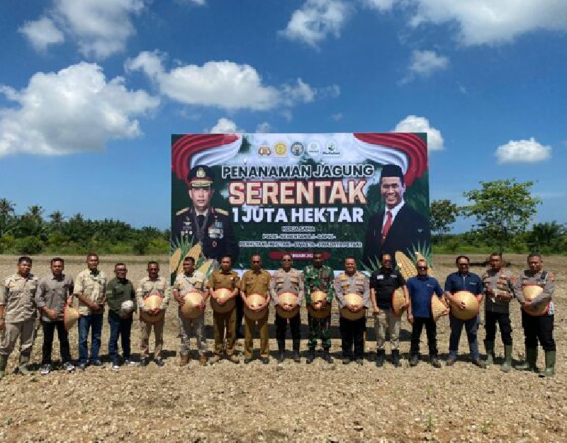 Jajaran Polres Aceh Utara Tanam Jagung Serentak di Lahan Seluas 80 Hektar