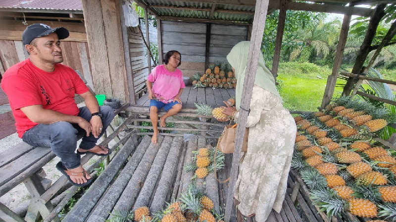 Manisnya Nanas Dumai yang Selalu Diburu Wisatawan