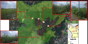 Distanbun Aceh Usul 200 Hektar Lahan Bekas Tsunami untuk Produksi Padi