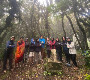 Melihat Langsung Pesona Hutan Lumut di Puncak Gunung Bae Aceh Besar