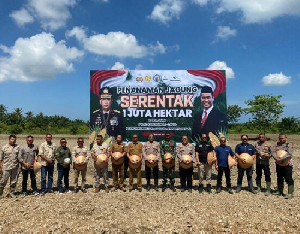 Jajaran Polres Aceh Utara Tanam Jagung Serentak di Lahan Seluas 80 Hektar