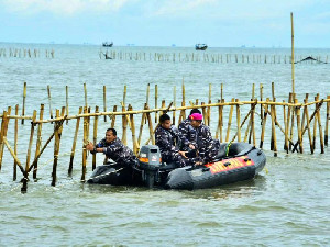 TNI AL Bersama Masyarakat Pesisir Bongkar Pagar Laut 30 KM di Tangerang