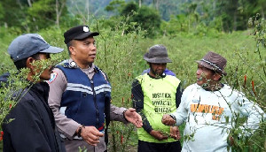 Kisah Inspiratif Bripka Adi Syafnur Arisal: Ubah Lahan Ganja Jadi Ladang Palawija