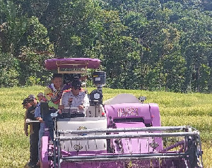 Terobosan Baru Simeulue untuk Ketahanan Pangan, Panen Padi Perdana dengan Combine Harvester