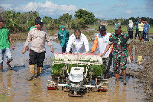 Pj Bupati Tanam Padi secara Masinal dengan Rice Transplanter di Gampong Bueng