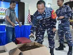 2 Lansia Selundupkan 54 Kg Kalajengking Kering Ilegal di Bandara Juanda Berhasil Digagalkan