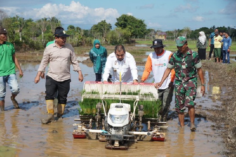 Pj Bupati Tanam Padi secara Masinal dengan Rice Transplanter di Gampong Bueng