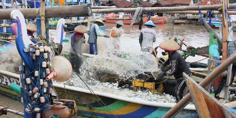 KKP Tegaskan PNBP Perikanan untuk Bantu Nelayan Kecil