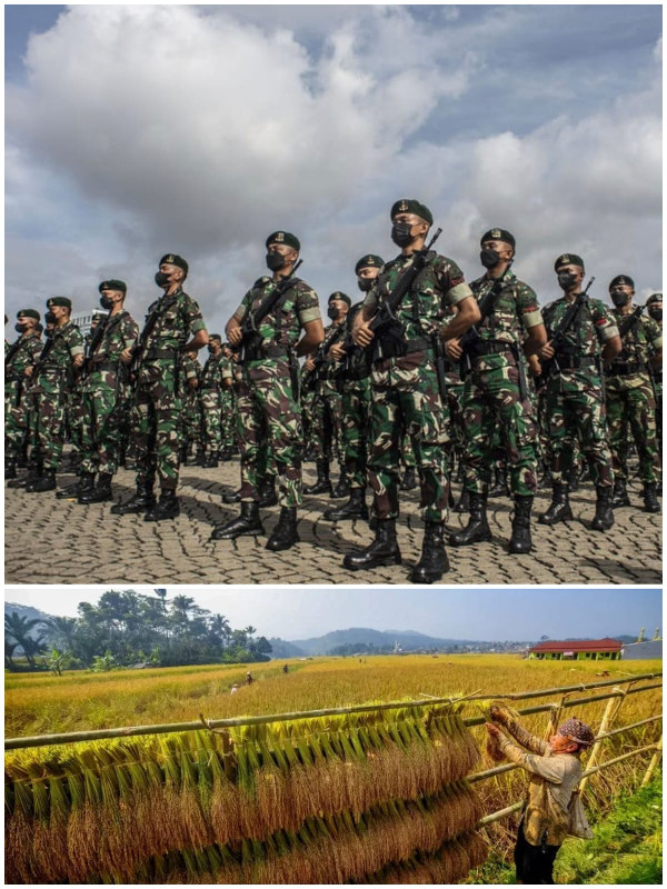 Ketahanan Pangan di Era Militer: Berkah atau Bencana?