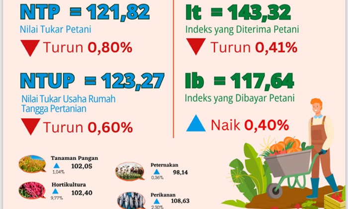 Nilai Tukar Petani Aceh Turun 0,80 Persen pada Januari 2025