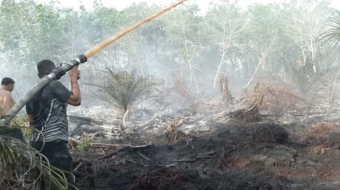 Lahan Terbakar di Aceh Barat sudah Mencapai 5.000 Meter