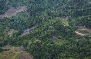 Pendanaan jadi Agenda Utama di Konferensi Tahunan PBB tentang Biodiversitas di Roma