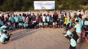 Hadiri Konservasi Penyu, Camat Pulo Aceh Lepaskan Tukik ke Laut Bersama PELNI