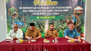 Pemkab Aceh Timur Gelar Pelatihan NDPE Bagi Perusahaan Perkebunan dan Pabrik Kelapa Sawit