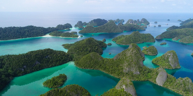 Keberhasilan Konservasi Pari dan Hiu Angkat Wisata Bahari Raja Ampat Makin Mendunia