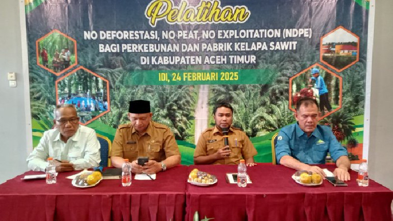 Pemkab Aceh Timur Gelar Pelatihan NDPE Bagi Perusahaan Perkebunan dan Pabrik Kelapa Sawit