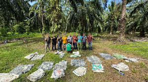 Penggerebekan di Aceh Tamiang, Bea Cukai dan Polri Gagalkan Penyelundupan 188 Kg Methamphetamine