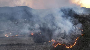 Kebakaran Hutan Dahsyat Landa Korea Selatan, Gyeongsang Terparah