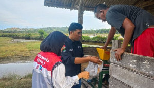 Pertamina Bantu Petani Tambak Lhokseumawe dalam Inovasi Pakan Udang Mandiri