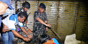 Transhipment Senilai Rp1,8 Miliar Terbongkar, KKP Amankan 10 Kapal Ikan di Laut Arafura