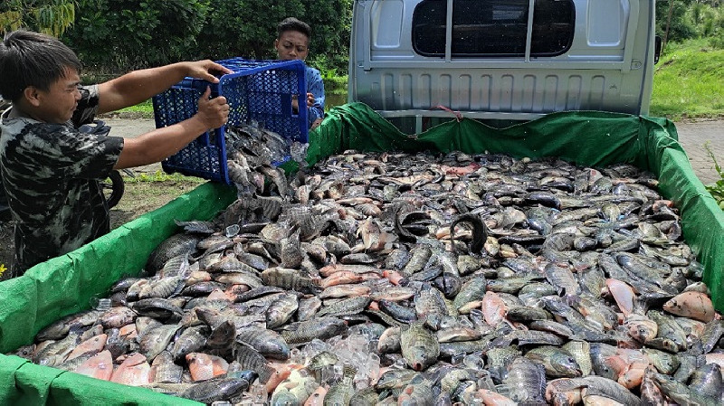 Produksi Perikanan Budi Daya Digenjot untuk Penuhi Kebutuhan Ramadan hingga Lebaran