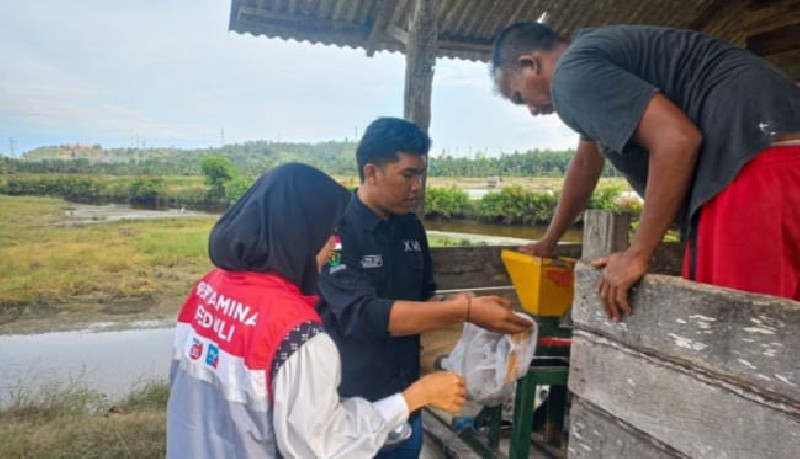 Pertamina Bantu Petani Tambak Lhokseumawe dalam Inovasi Pakan Udang Mandiri